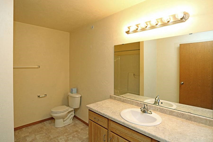 a bathroom with a sink and a toilet and a mirror