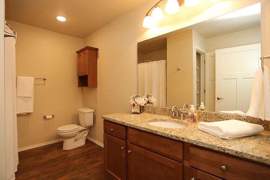 a bathroom with a sink and a toilet and a mirror