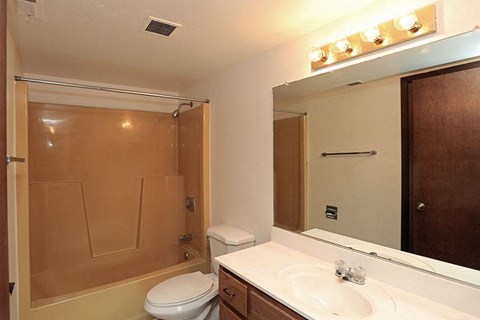 a bathroom with a toilet and a sink and a mirror