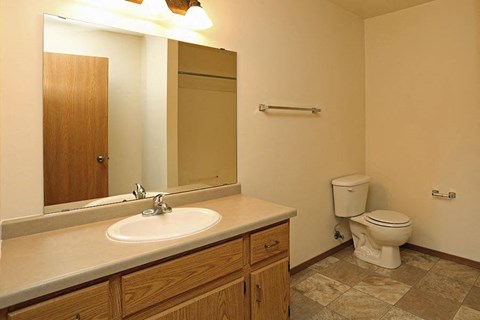 a bathroom with a sink and a toilet and a mirror