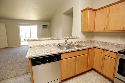 a kitchen with a sink and a dishwasher