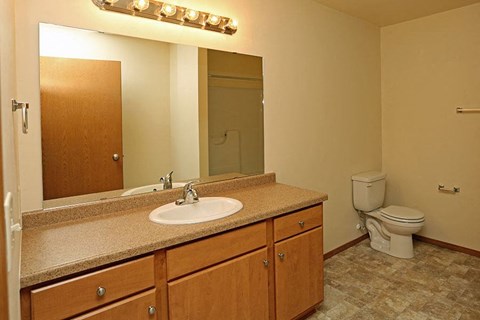 a bathroom with a sink and a toilet and a mirror