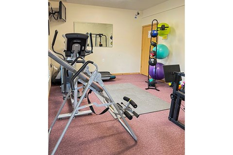 A gym room with a treadmill, exercise balls, and weights.