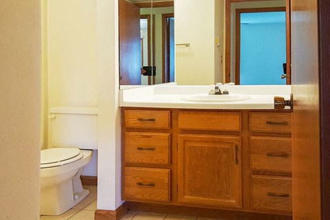 a bathroom with a sink and a toilet and a mirror