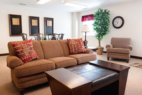 A living room with a brown couch and a green plant.