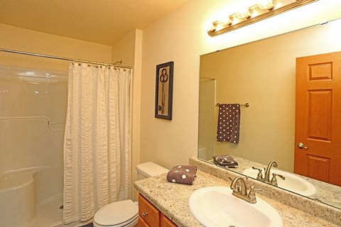 a bathroom with a sink toilet and a shower