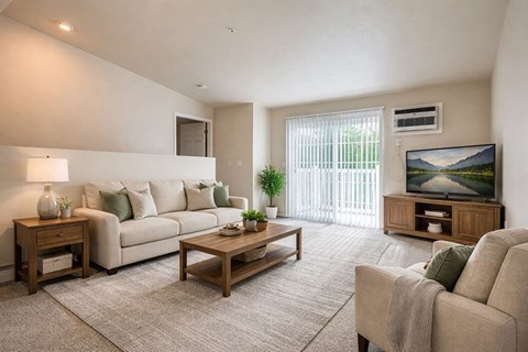 A living room with a couch, a coffee table, a television, and a potted plant.