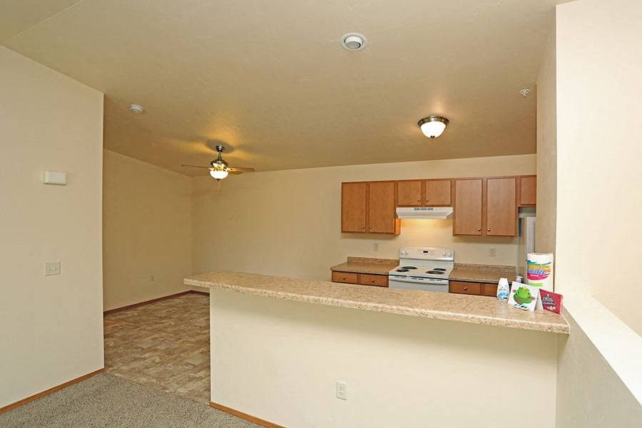A kitchen area with a counter and cabinets.