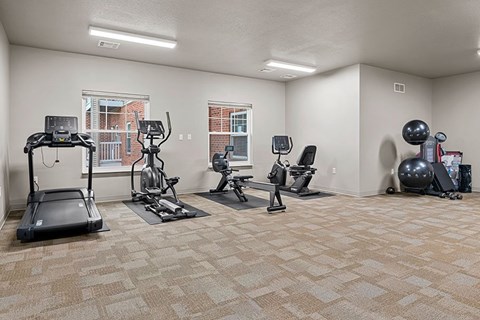 A spacious gym with treadmills, elliptical machines, and exercise balls.