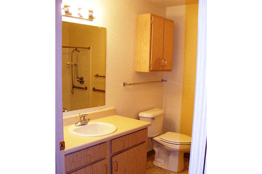 a bathroom with a toilet and a sink and a mirror