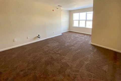 an empty living room with carpet and a window