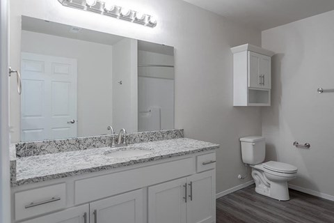 a bathroom with a toilet and a sink and a mirror