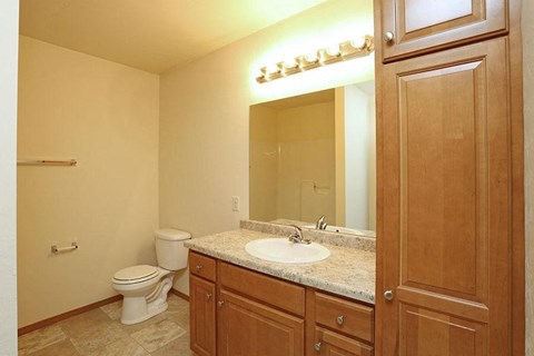 a bathroom with a sink and a toilet and a mirror