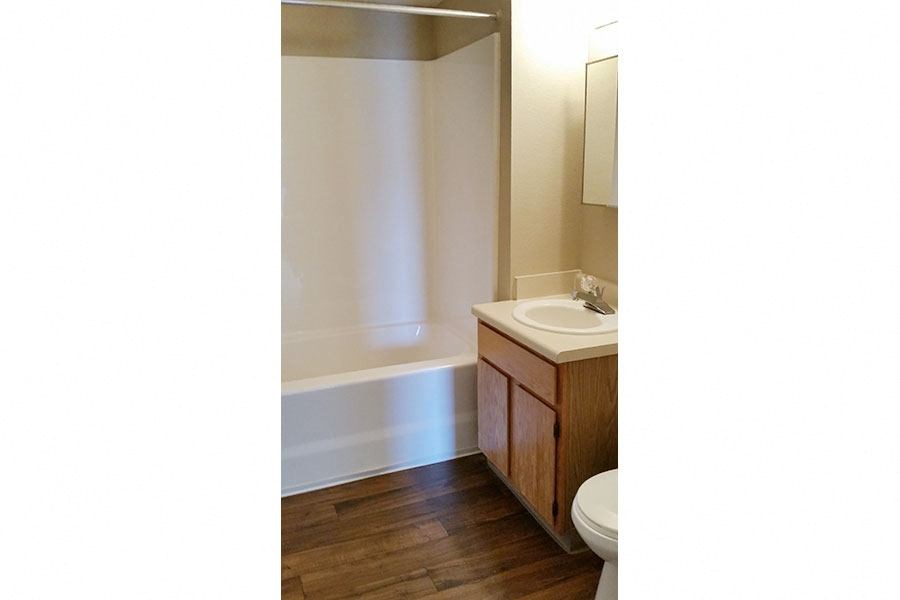 a bathroom with a sink and a toilet