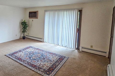 A room with a rug on the floor and a plant in a pot.