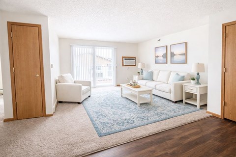 A living room with a white couch, a blue rug, and a wooden door.