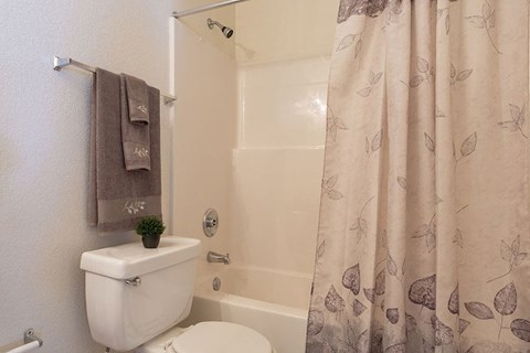 A white toilet sits next to a bathtub with a shower curtain.