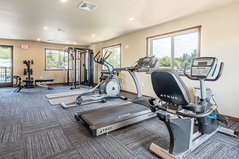 the gym is equipped with a variety of exercise equipment