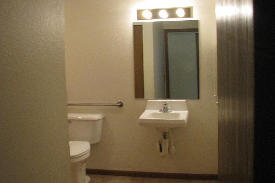 a bathroom with a sink and a mirror and a toilet