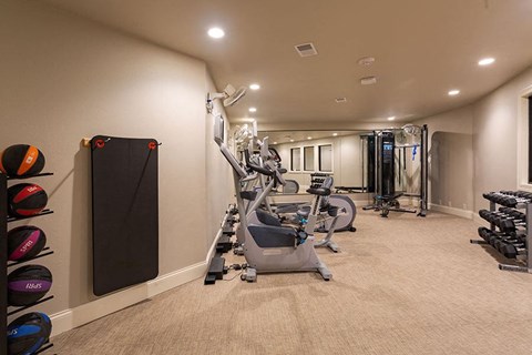 A well-equipped gym with a variety of exercise machines and weights.