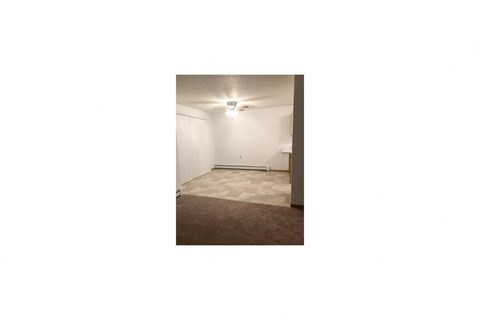 an empty living room with a carpet and a ceiling light