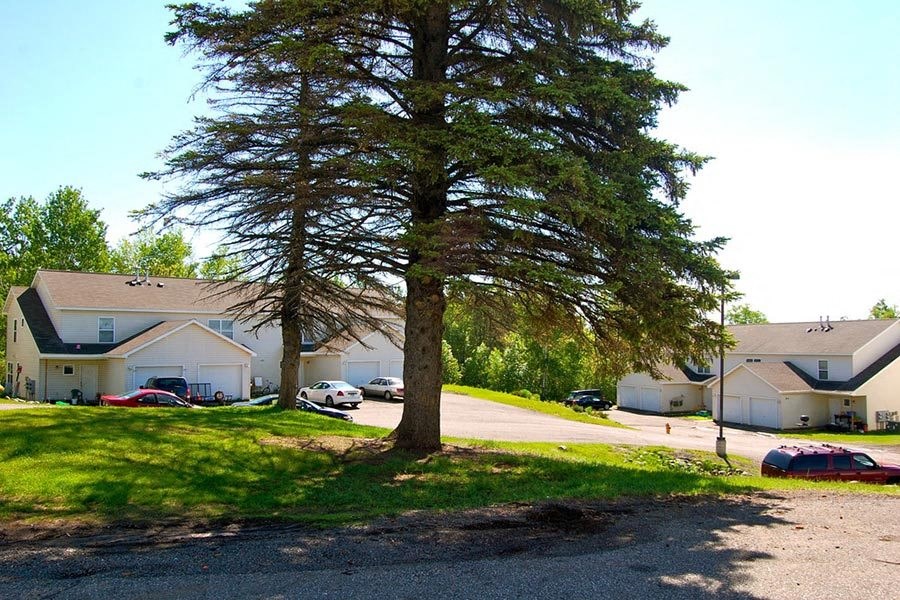 A tree stands in front of a house with a driveway and cars parked in the background.
