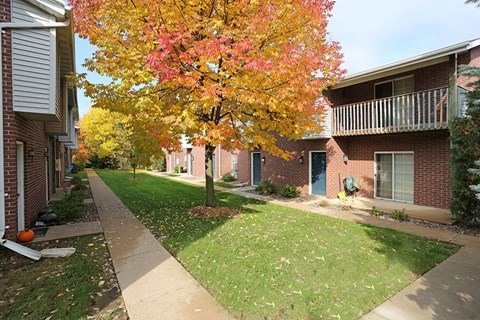 A tree with pink and yellow leaves is in front of a brick building.