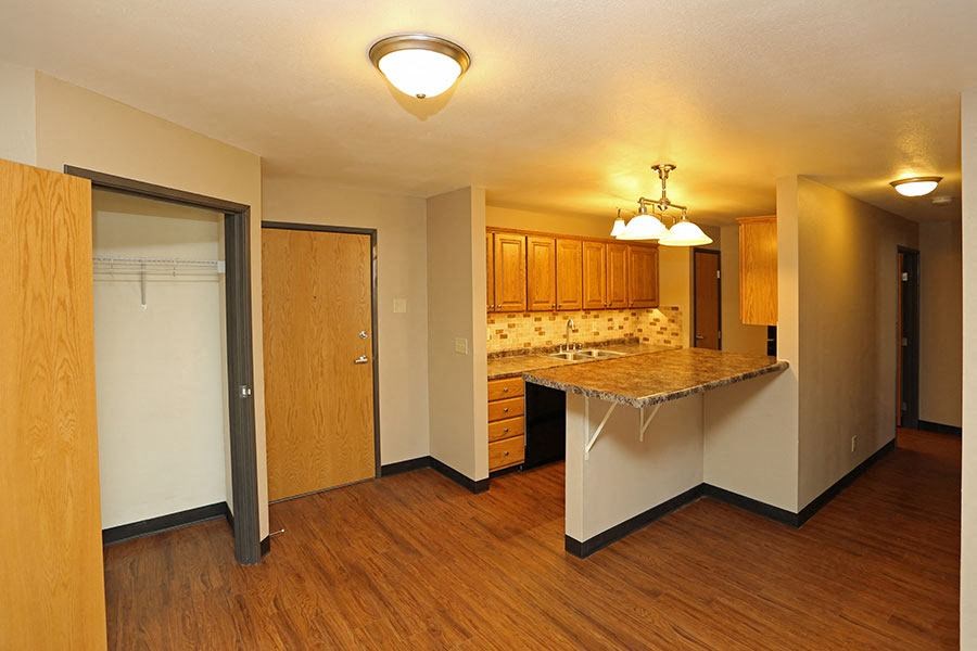 A kitchen area with a counter and cabinets.