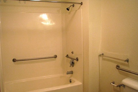 a bathroom with a shower and a bath tub