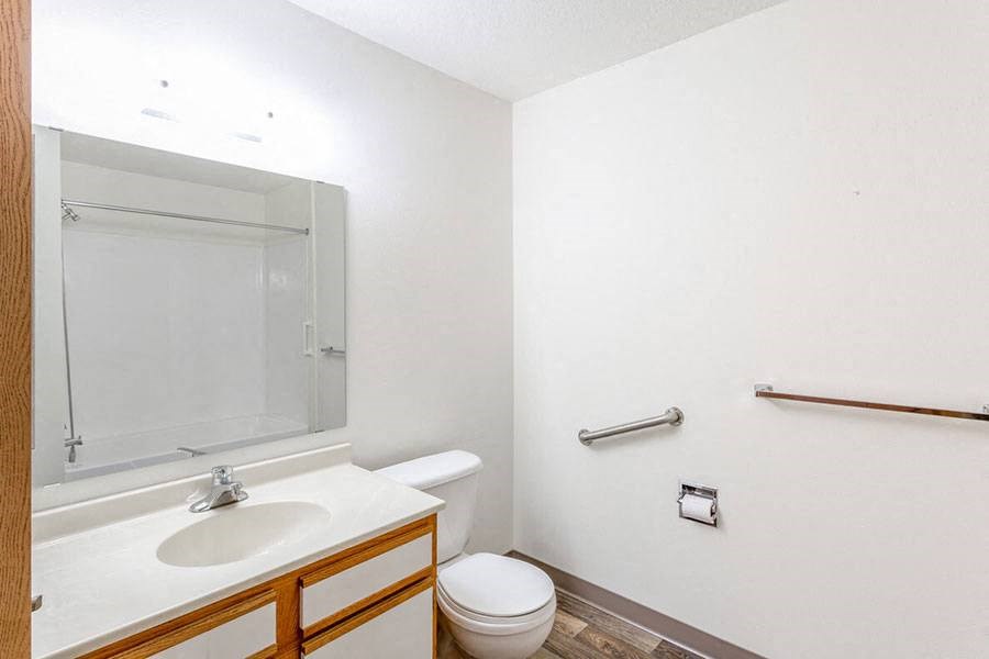 a bathroom with a toilet and a sink and a mirror