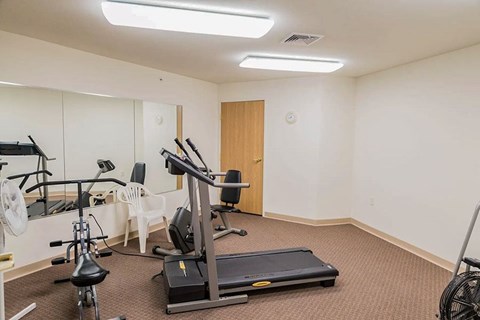 A home gym with a treadmill, exercise bike, and weights.