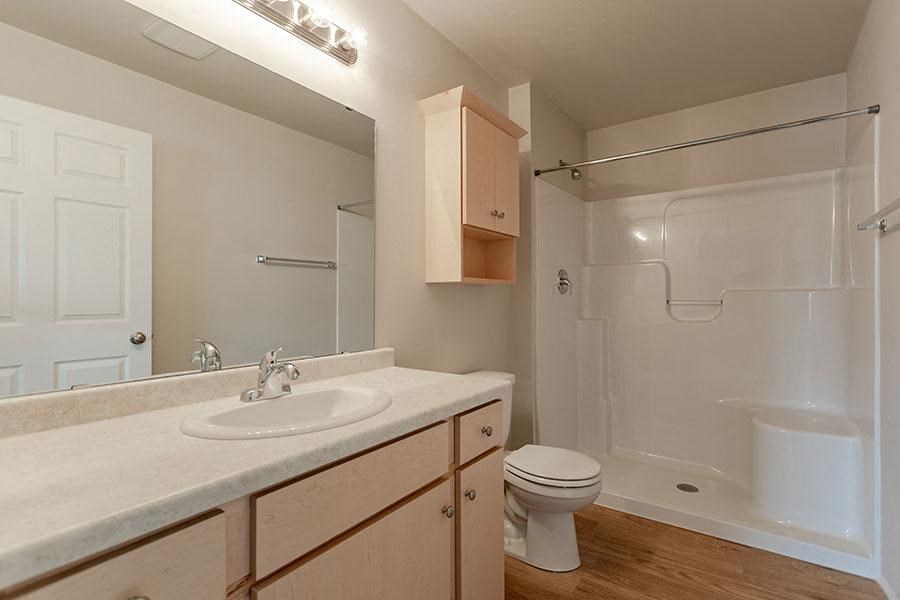 a bathroom with a sink toilet and a shower