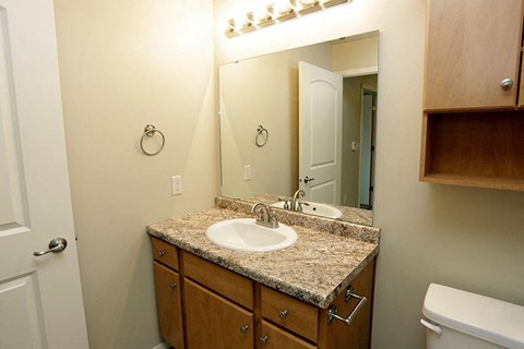 a bathroom with a sink and a mirror
