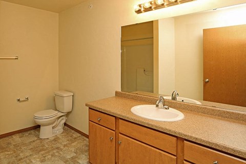 a bathroom with a sink and a toilet and a mirror