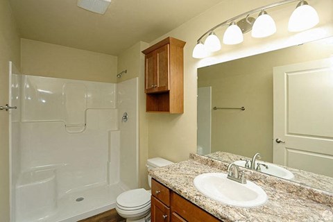a bathroom with a sink toilet and a shower