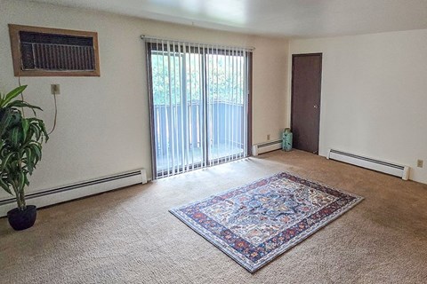A room with a rug on the floor and a plant on the left side.