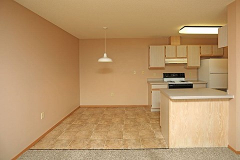 A kitchen with a counter and cabinets is shown.