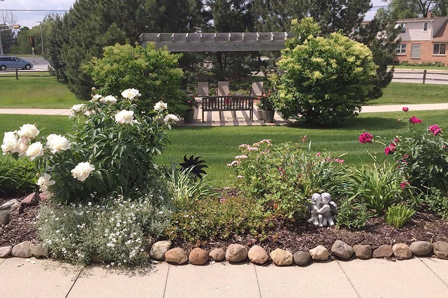 A garden with a bench and a gazebo.