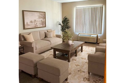 A living room with a couch, chair, and potted plant.