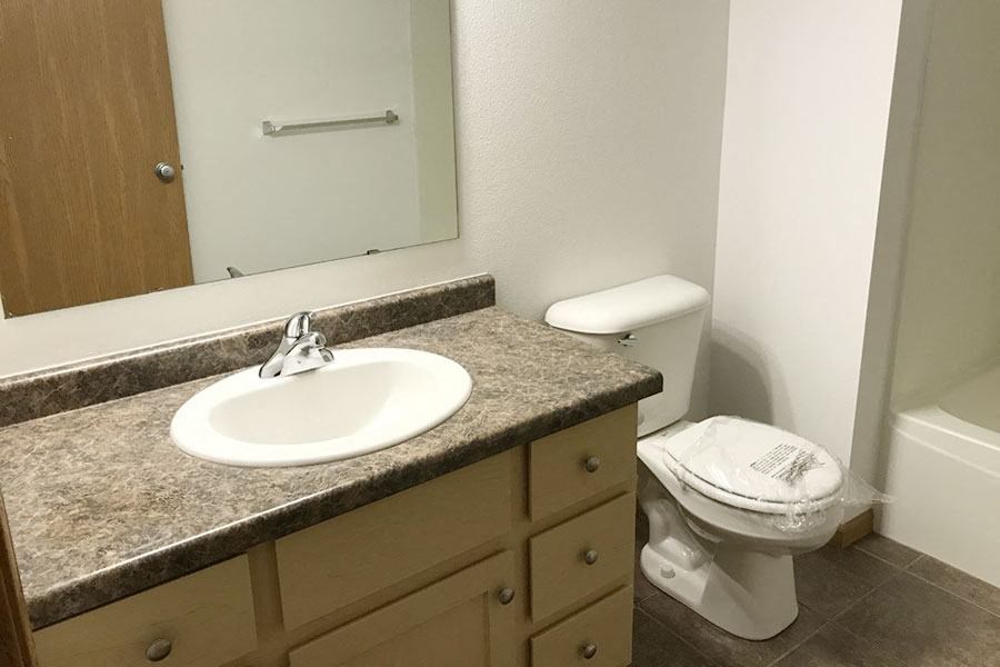 a bathroom with a sink and a toilet and a mirror