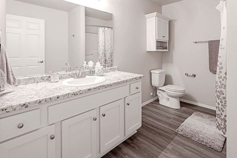 a bathroom with a sink and a toilet