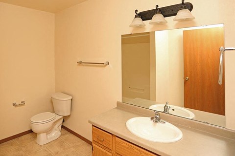 a bathroom with a sink and a toilet and a mirror