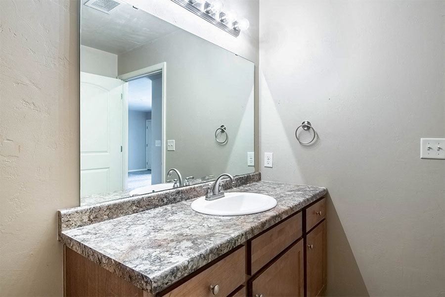 a bathroom with a sink and a large mirror