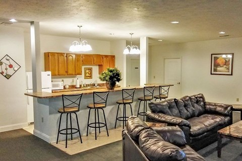 A living room with a bar and leather couch.