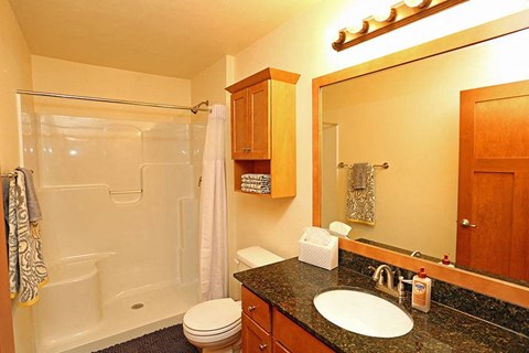 a bathroom with a sink toilet and a shower