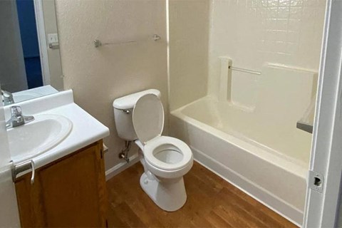 a bathroom with a toilet and a sink and a tub