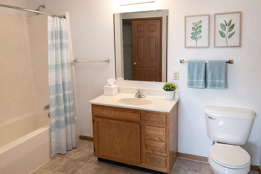 A bathroom with a white toilet, a sink with a wooden cabinet, a shower with a blue and white curtain, and a mirror above the sink.