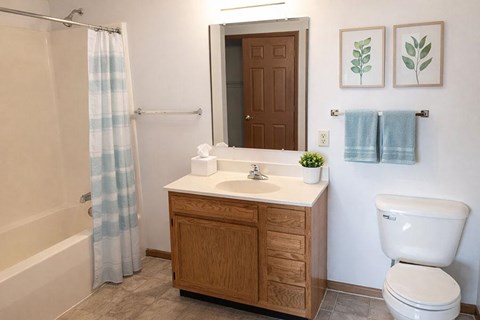 A bathroom with a white toilet, a sink with a wooden cabinet, a shower with a blue and white curtain, and a mirror above the sink.