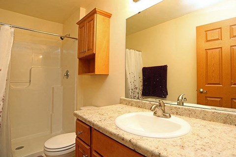 a bathroom with a sink and a shower