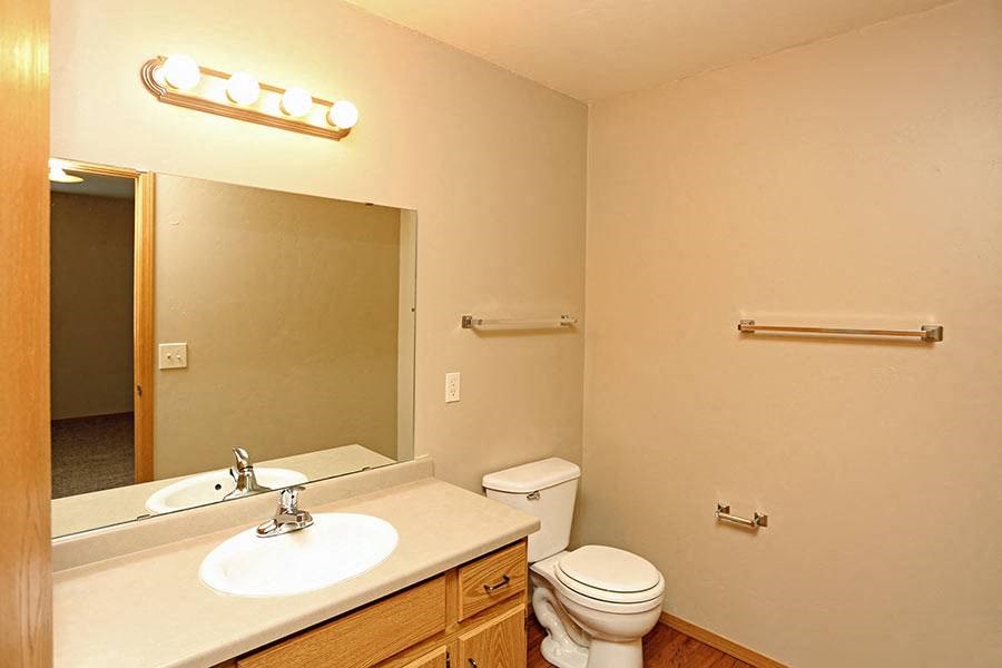 a bathroom with a toilet and a sink and a mirror